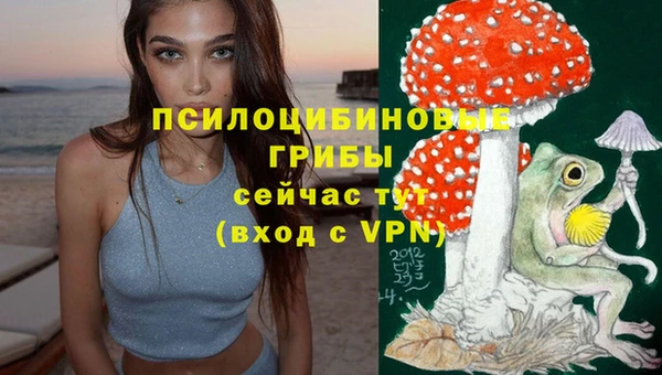 гидропоника Иннополис