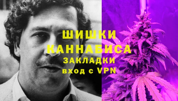 2c-b Инта