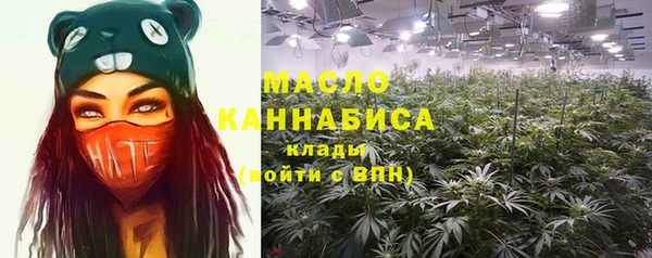 2c-b Инта