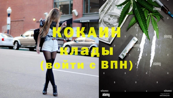 2c-b Инта