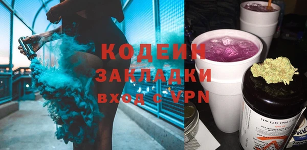 2c-b Инта