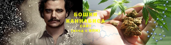 2c-b Инта